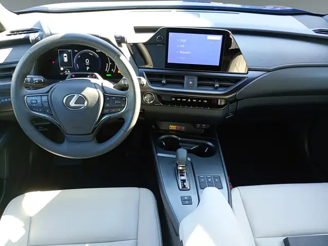 Lexus Ux 300h view 11