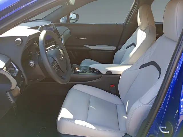 Lexus Ux 300h view 10