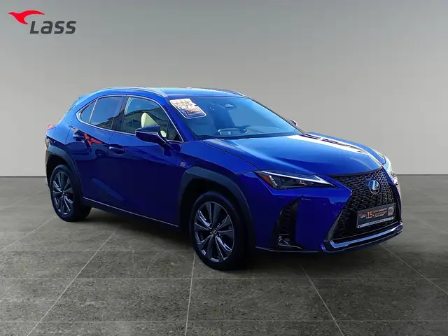 Lexus Ux 300h view 8