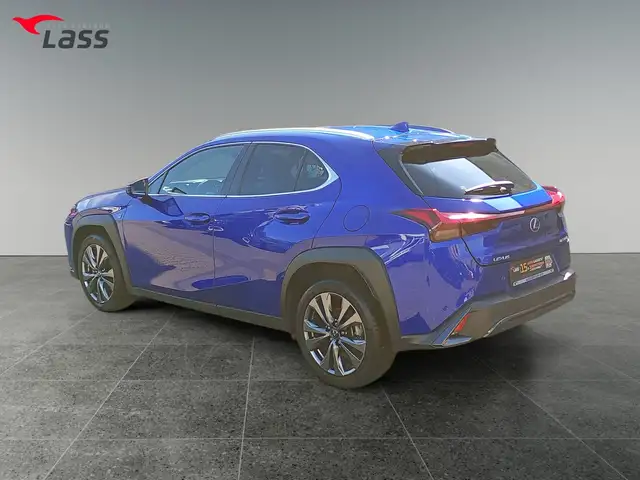 Lexus Ux 300h view 4