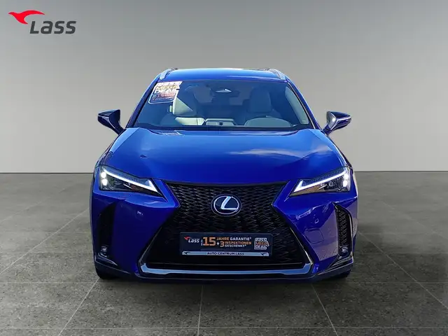 Lexus Ux 300h view 9