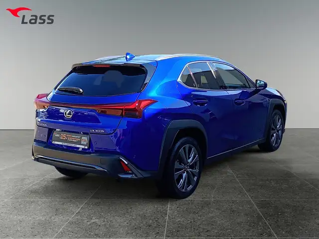 Lexus Ux 300h view 6