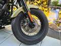 Harley-Davidson Softail Slim S FLSS ABS Grün - thumbnail 12