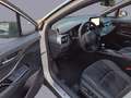 Toyota C-HR hybrid GR Sport e-cvt Bianco - thumbnail 11