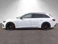 Audi RS4 RS4 Avant 2.9 TFSI quattro Navi Matrix Pano HUD Weiß - thumbnail 3