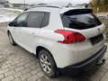 Peugeot 2008 2008 1,6 e-HDi 115 FAP Allure Allure Weiß - thumbnail 6
