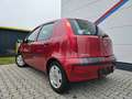 Fiat Punto 1.2 Active 60PS*TÜV-AU-NEU-11-2027*1-Hand* Rood - thumbnail 12