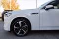 Mazda CX-60 2.5 phev Takumi tetto pan. awd auto Bianco - thumbnail 7