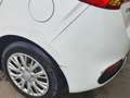 Kia Ceed / cee'd Cee'D 1.4 CRDi °CLIM° EURO5B Blanc - thumbnail 4