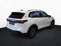 Volkswagen Tiguan 2.0TDI DSG Goal 360° AHK HuD Matrix Navi Weiß - thumbnail 4