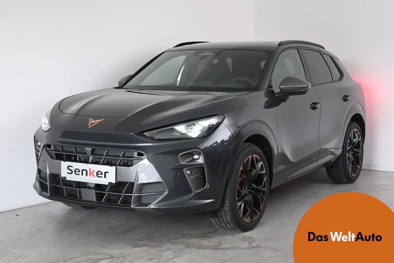 CUPRA Terramar 2.0 TSI 204 PS DSG 4Drive Grau - 1