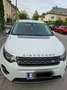 Land Rover Discovery Sport Discovery Sport 2,0 TD4 150 4WD SE SE Weiß - thumbnail 2