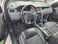 Land Rover Discovery Sport Discovery Sport 2,0 TD4 150 4WD SE SE Weiß - thumbnail 5