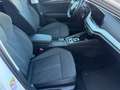 Skoda Octavia Combi 2,0 TDI DSG 4x4 Style Weiß - thumbnail 11