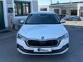 Skoda Octavia Combi 2,0 TDI DSG 4x4 Style Weiß - thumbnail 3