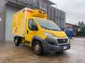 Fiat Ducato 2.3/DOPPIA CELLA/FRA/FRIGO/2018 Jaune - thumbnail 3