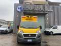 Fiat Ducato 2.3/DOPPIA CELLA/FRA/FRIGO/2018 Jaune - thumbnail 2