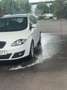 SEAT Altea XL 1.6 TDI DPF CR Reference - thumbnail 14