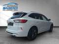 Ford Kuga KUGA 1,5 *ST-Line* I AUTOMATIK I Weiß - thumbnail 4