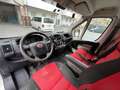 Fiat Ducato Ducato GR-Panorama 33 L2H2 130 Multijet GR-Panorama Weiß - thumbnail 13
