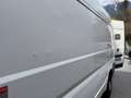 Fiat Ducato Ducato GR-Panorama 33 L2H2 130 Multijet GR-Panorama Weiß - thumbnail 8