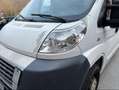 Fiat Ducato Ducato GR-Panorama 33 L2H2 130 Multijet GR-Panorama Weiß - thumbnail 9