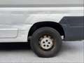 Fiat Ducato Ducato GR-Panorama 33 L2H2 130 Multijet GR-Panorama Weiß - thumbnail 6
