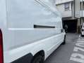 Fiat Ducato Ducato GR-Panorama 33 L2H2 130 Multijet GR-Panorama Weiß - thumbnail 10
