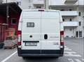 Fiat Ducato Ducato GR-Panorama 33 L2H2 130 Multijet GR-Panorama Weiß - thumbnail 2