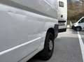 Fiat Ducato Ducato GR-Panorama 33 L2H2 130 Multijet GR-Panorama Weiß - thumbnail 7