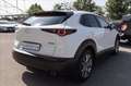 Mazda CX-30 2.0 m-hybrid Executive 2wd 150cv 6mt Bianco - thumbnail 2