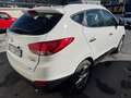 Hyundai iX35 ix35 2.0 crdi XPossible 4WD PREZZO PROMO Bianco - thumbnail 5