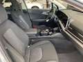 Kia Sportage 1.6 CRDI 136cv MHEV STYLE 2WD DCT Grigio - thumbnail 11
