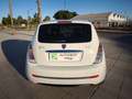 Lancia Ypsilon 1.3JTD Oro Blanco - thumbnail 17