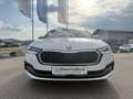 Skoda Octavia Combi 2,0 TDI Style DSG *LED*HEADUP*NAVI* Weiß - thumbnail 5