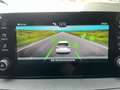 Skoda Fabia Selection TSI Weiß - thumbnail 20