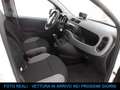 Fiat Panda 0.9 TwinAir Natural Power City Life solo 12.000 Km Bianco - thumbnail 6