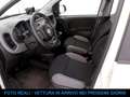 Fiat Panda 0.9 TwinAir Natural Power City Life solo 12.000 Km Bianco - thumbnail 5