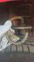 SEAT Ibiza Comfort Edition Rot - thumbnail 7