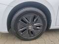 Skoda Fabia Ambition+Alufelgen+Klimaanlage+Sitzheizung+LED Weiß - thumbnail 17