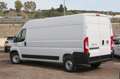Fiat Ducato 35 2.2MJT 140CV LH2 Furgone Passo Lungo L3H2 NUOVO Bianco - thumbnail 3
