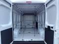 Fiat Ducato 35 2.2MJT 140CV LH2 Furgone Passo Lungo L3H2 NUOVO Bianco - thumbnail 11