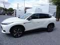 MG HS HS 1.5T Aut. Luxury /leder/27999€ Blanc - thumbnail 6