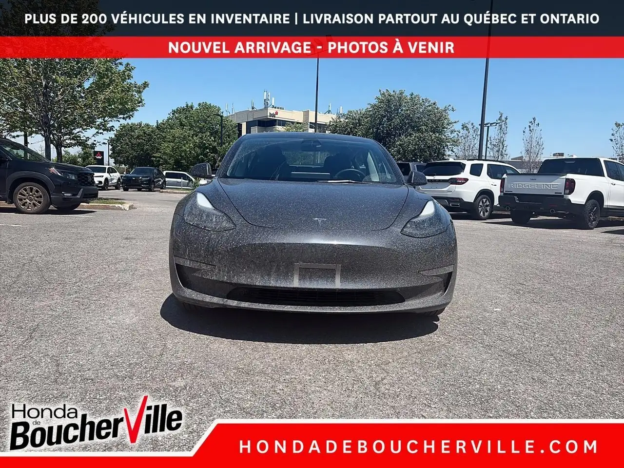 Tesla Model 3 photo Tesla Model 3