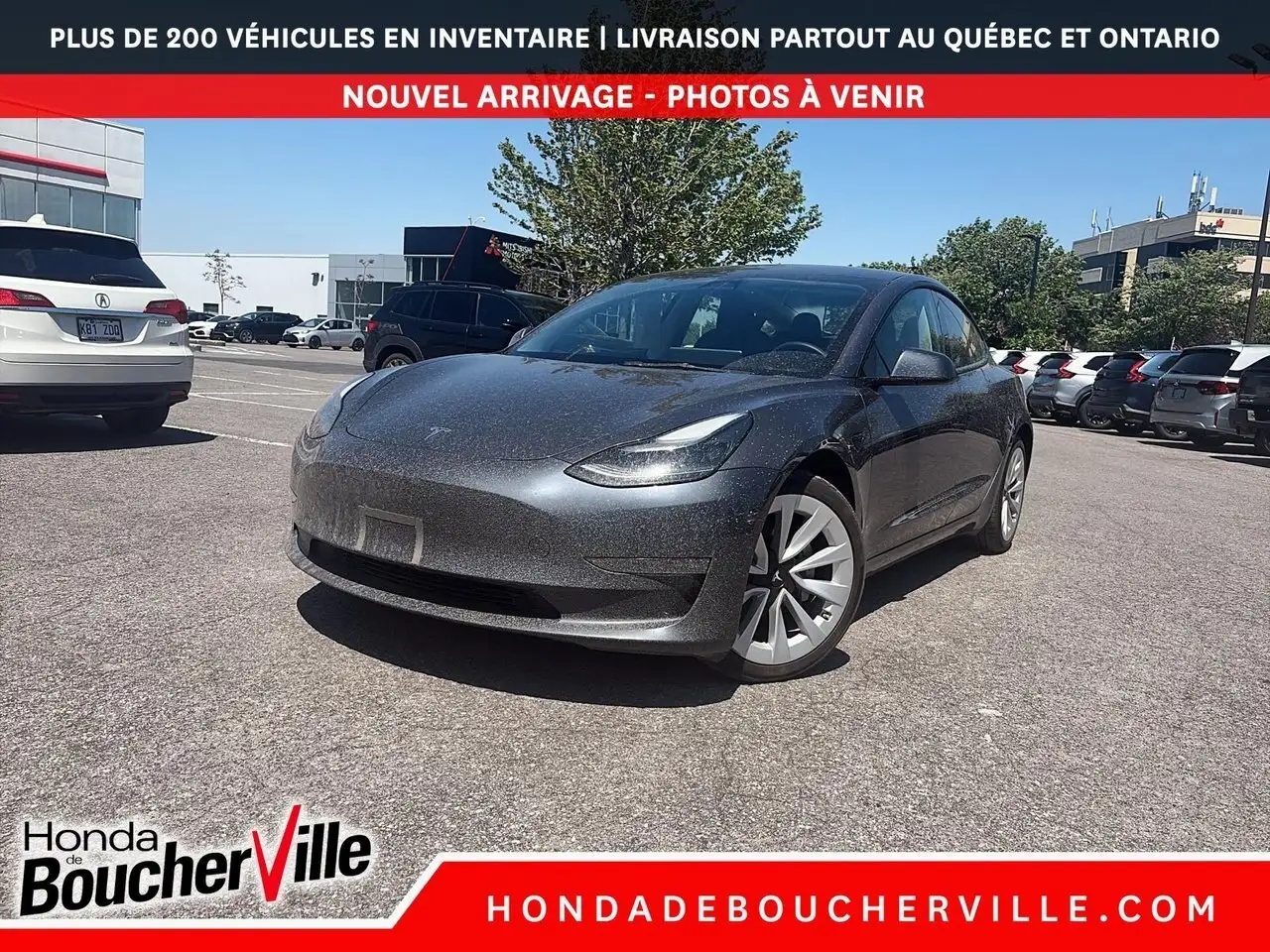 2023 Tesla Model 3