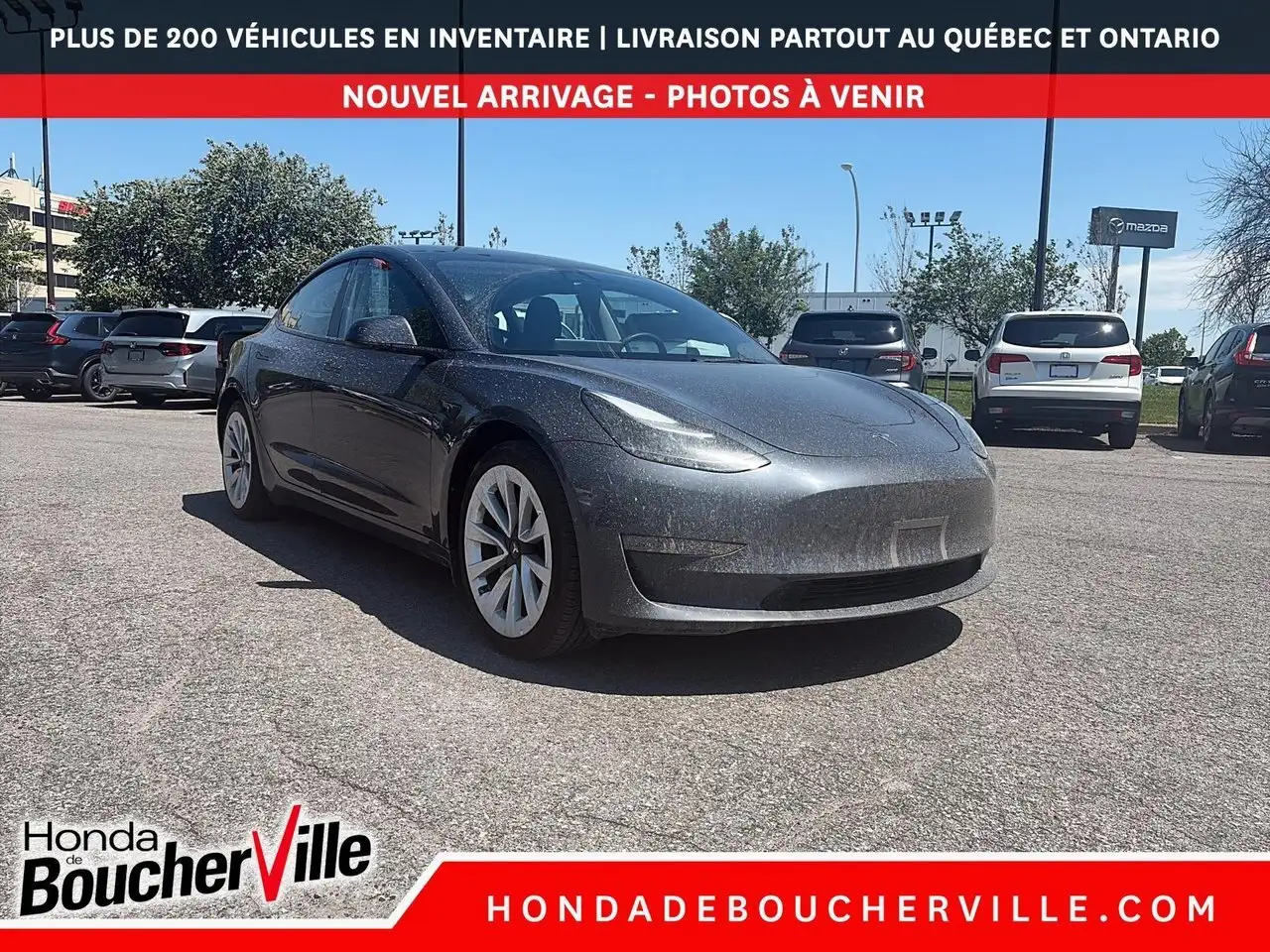 Tesla Model 3 photo Tesla Model 3