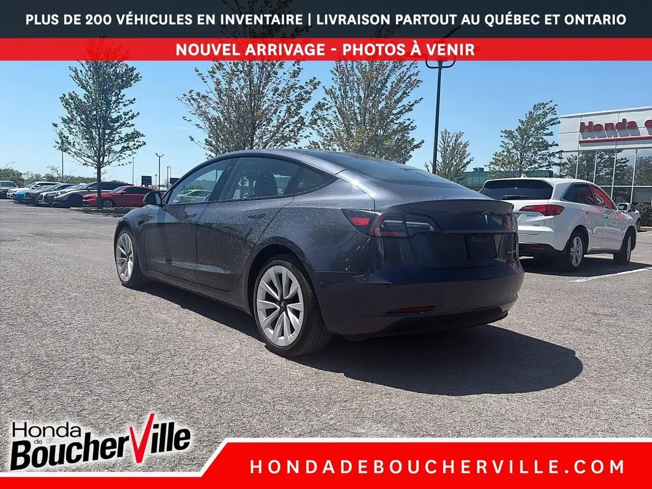 Tesla Model 3 photo Tesla Model 3