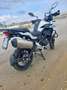 Benelli TRK 502 Benelli TRK 502X - ANNO 04/2022 - KM 10500 Blanc - thumbnail 4