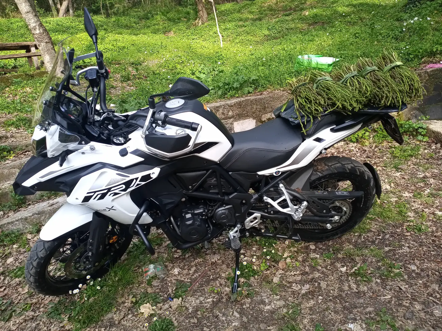 Benelli TRK 502 Benelli TRK 502X - ANNO 04/2022 - KM 10500 Blanc - 1