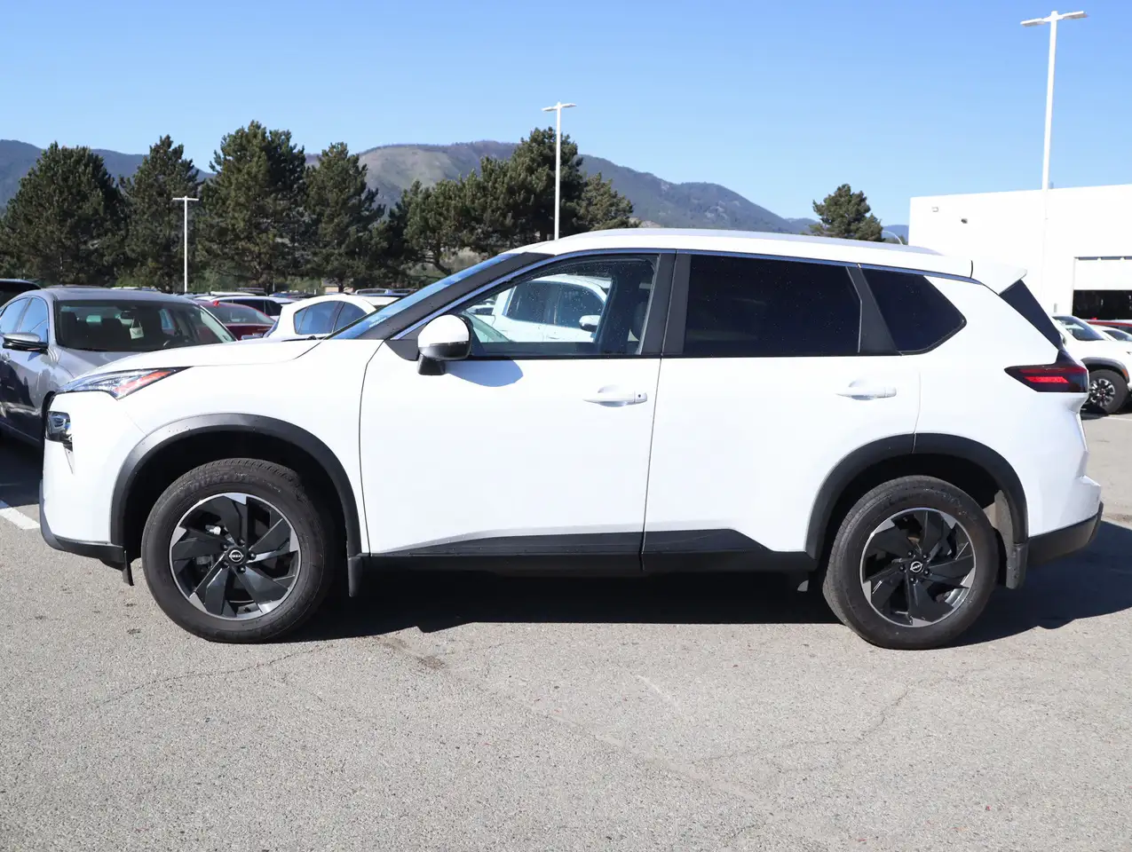 Nissan Rogue снимка Nissan Rogue